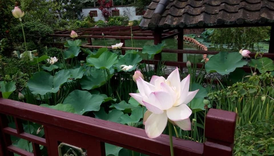 Chinese Garden Houses Διαμέρισμα Pingtung Εξωτερικό φωτογραφία